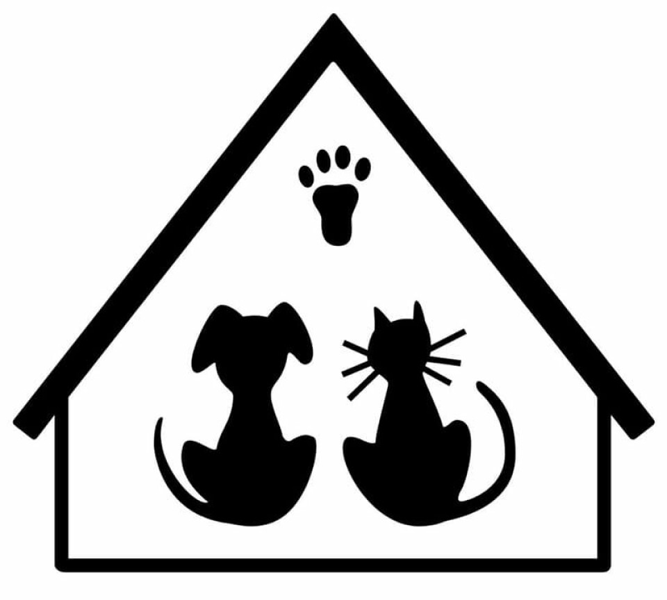 Animal Shelter