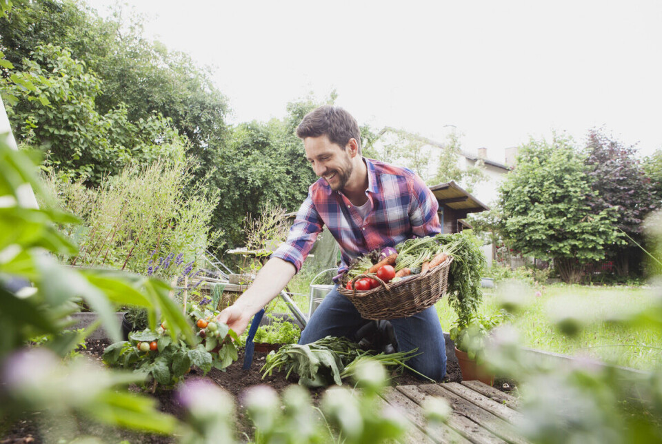 Exploring, creating and growing your own herbs to improve your health? The Tri-County Home & Health Expo will host plenty of vendors to do it right.