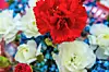 Close-up of red and white flowers in a floral arrangement.