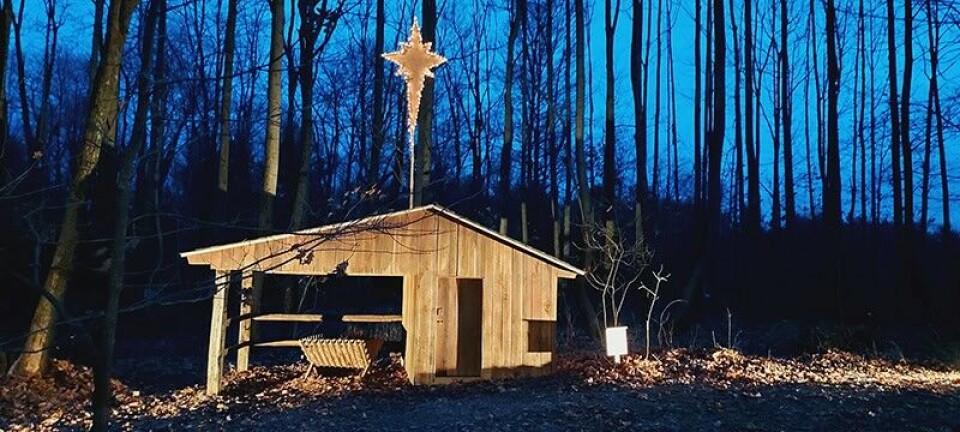 Submitted PhotoPleasant Grove Chapel invites all to the O’Holy Night walk on Dec. 15, 5:30 p.m.