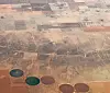 Aerial view of circular irrigation patterns on agricultural land.