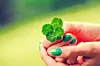 Hands with green nails holding a four-leaf clover.