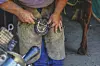 Farrier shaping a horseshoe near a horse.