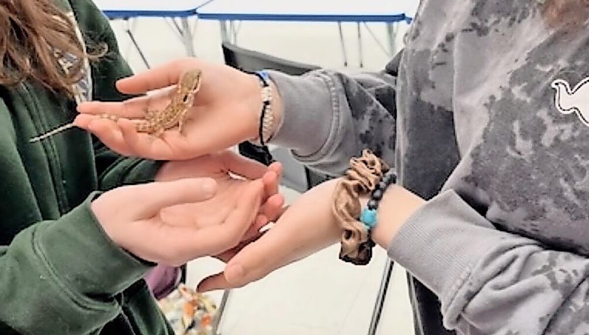 Estudiantes del condado de Jefferson adoptan dragón barbudo mascota de clase