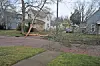 Fallen tree branch on a residential street.