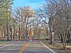 Blocked road with fallen trees and a water tower.