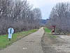 Paved pathway in a wooded area with a stop sign.