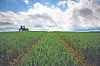 Tractor in a green field with clouds overhead.
