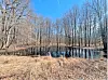 Pond surrounded by bare trees under a clear blue sky.