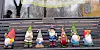 Row of colorful garden gnomes on a bench.