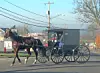 Horse-drawn carriage on a rural road