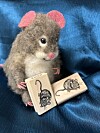 Felt mouse toy with wooden blocks showing mouse drawings.