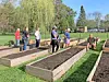 People working in a community garden with raised beds.