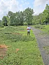 Man standing on a path in a park with cut branches around him.