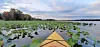 Kayak on a lily pad-covered lake with a cloudy sky.