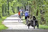 People walking and biking on a tree-lined trail.