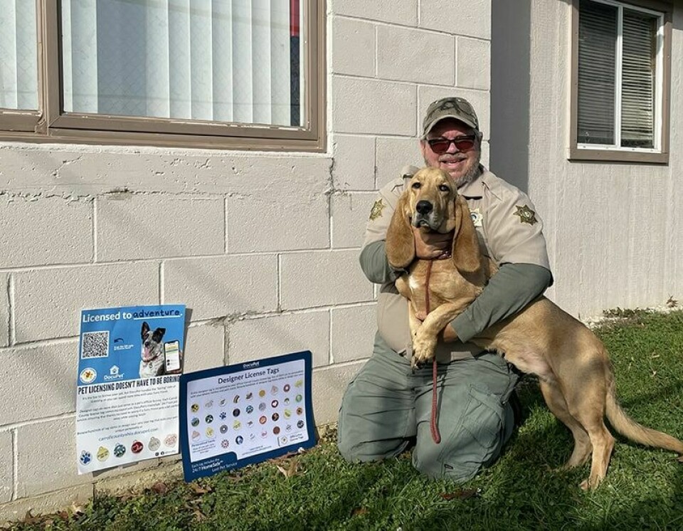 CCM/Carol McIntireCarroll County Dog Warden Cason Leggett and a six-year-old Basset Hound, available for adoption at the dog pound, pose with a display of available license tags and information on the new DocuPet licensing program.
