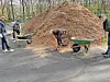 Volunteers distributing mulch from a large pile.