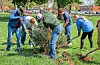 Volunteers planting a tree in a park.