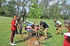 Group planting a tree in a park setting.
