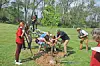 Group planting a tree in a park setting.