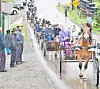 Horse-drawn carriages parade along a rural road.