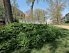 Sign for College of Wooster surrounded by greenery.