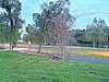 Grassy park area with trees, a picnic table, and a walkway near a road at dusk.