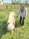 Woman standing next to a horse grazing in a grassy field with a fence in the background.