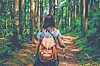 Person with a backpack walking on a forest trail surrounded by tall trees.