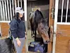 A horse stands in a stable doorway next to a person inside a barn.