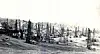 Wide view of multiple oil drilling rigs in a flat industrial landscape.