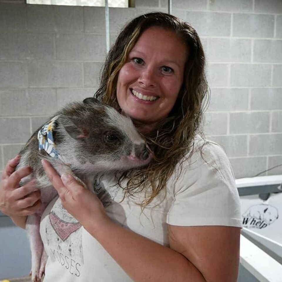 CCM/Thomas ClapperAutumn Whitacre, pictured with piglet June, has been breeding mini pigs for pets since 2015. She runs a website, podcast and YoutTube channel on mini pigs.
