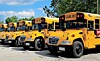 Several yellow school buses parked in a row beside a road.