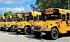 Several yellow school buses parked in a row beside a road.