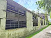 Weathered industrial building with large broken windows along a narrow road and trees nearby.