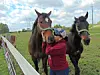 Two horses stand by a fence while children pet one horse in a grassy field.