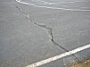 Close-up of cracked asphalt pavement with white painted lines and small weeds growing from the crack.