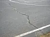 Close-up of cracked asphalt pavement with white painted lines and small weeds growing from the crack.