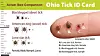 Ohio tick identification card with tick illustrations and labels beside a fingertip.