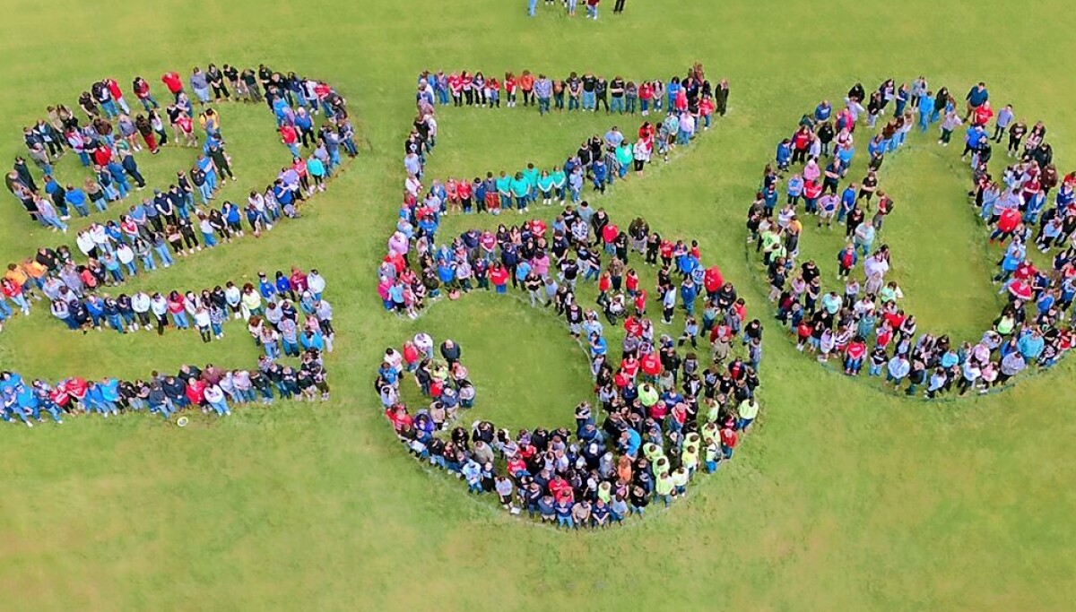 Wayne County students mark America250 with Liberty Tree