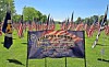 Rows of U.S. flags on a lawn with a Field of Honor banner in the center.