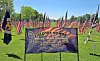 Rows of U.S. flags on a lawn with a Field of Honor banner in the center.