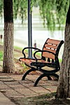 Empty park bench beside trees on a brick path in a park.
