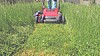 A red riding mower cuts tall grass in a field.