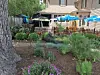Outdoor patio with blue umbrellas, tables, chairs, and garden beds next to a building.