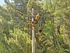 People on a high ropes course with wooden platforms and rope-linked steps among trees.