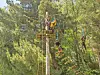 People on a high ropes course with wooden platforms and rope-linked steps among trees.