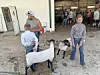 Two children stand beside goats inside a barn with other people and livestock pens behind them.