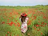 A child in a white dress stands in a field of red wildflowers with hands on head.